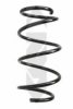 SPIDAN 86817 Coil Spring